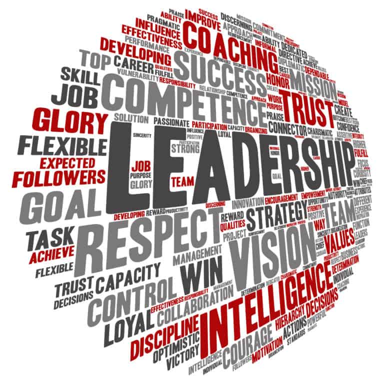 The Top 5 Leadership Myths - EverRise LLC